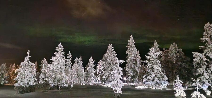 Northern Lights Snowshoe Hike in Levi with Latvian Guide - Who will enjoy this Levi outing