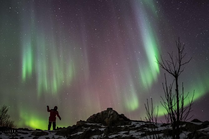 Northern Lights tour - All inclusive - Northern Horizon - Meeting at Magic Ice Bar and heading into the dark