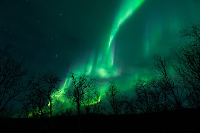 Northern Lights Tour from Kiruna to Abisko with Dinner - Why Abisko gives this tour a real advantage