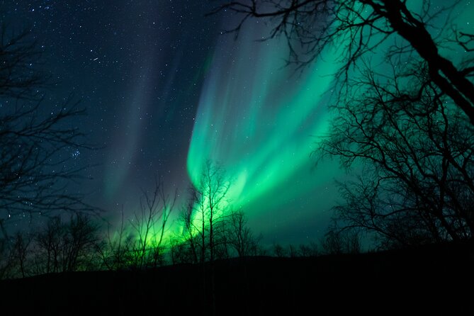 Northern Lights Tour from Kiruna to Abisko with Dinner - The Kiruna pickup and drive west