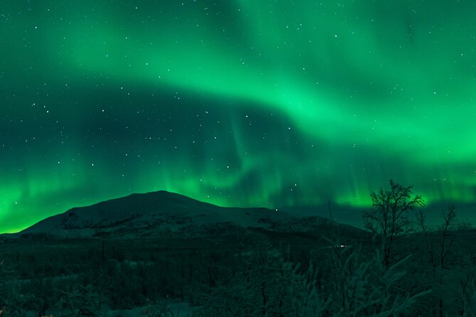 Northern Lights Tour from Kiruna to Abisko with Dinner - Photos and camera help