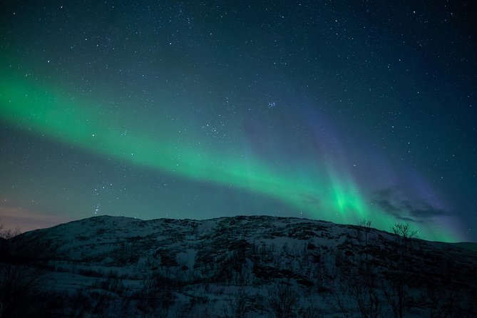 Northern Lights Tour from Kiruna to Abisko with Dinner - What the price includes, and what it does not