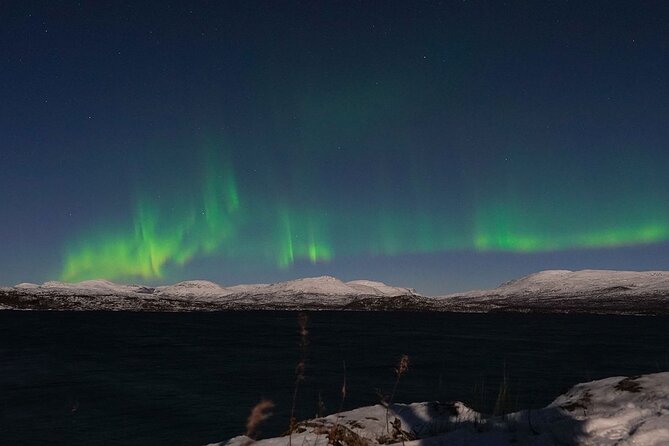 Northern Lights Tour from Kiruna to Abisko with Dinner - How to make the most of the evening
