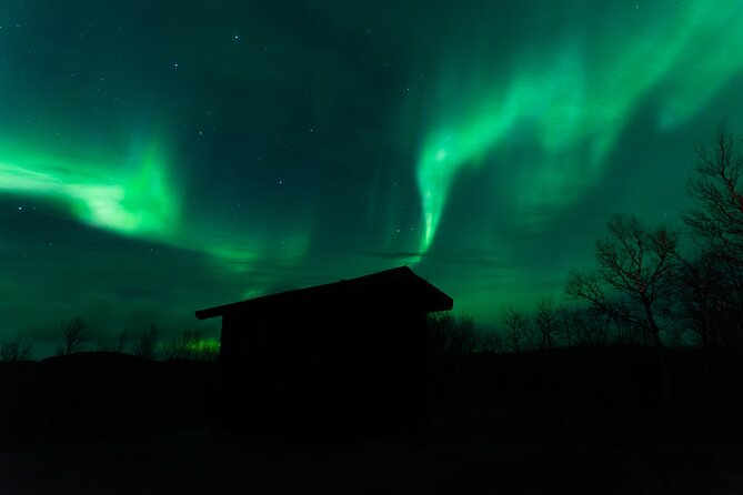 Northern Lights Tour from Kiruna to Abisko with Dinner - Should you book this Kiruna to Abisko tour?