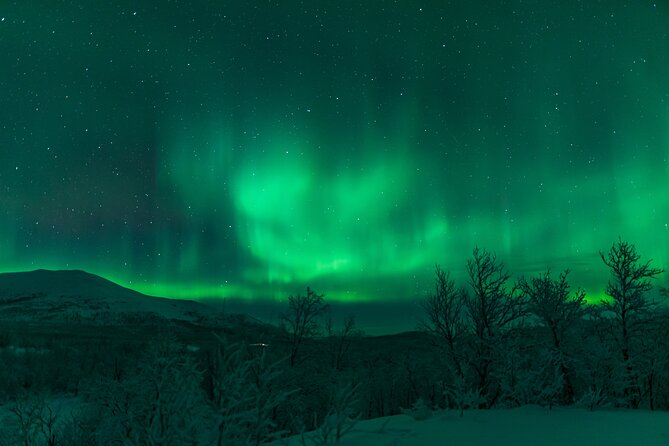 Northern Lights Tour from Kiruna to Abisko with Dinner - Dinner at Abisko Mountain Lodge
