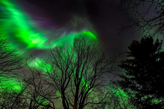 Northern Lights Tour from Reykjavik with Lifetime Guarantee - Leaving Reykjavik for the northern lights
