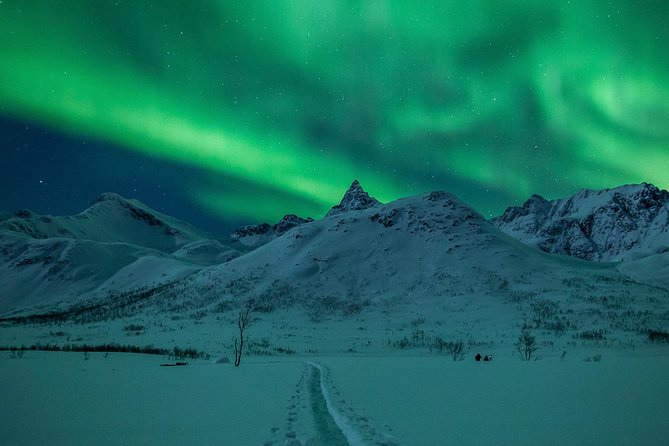 Northern Lights Tour from Tromsø - Chasing clear skies beyond Tromsø