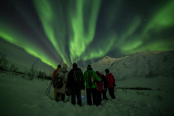 Northern Lights Tour from Tromsø - The guides and drivers make the difference