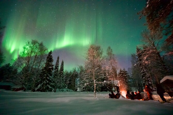 Northern Lights Tour in Atmospheric Cottage - At a glance