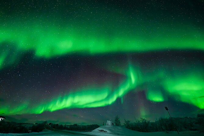 Northern Lights Tour, Photo, Toilet, Meal, Skycam in Mbus - Who will enjoy this Tromsø experience most?