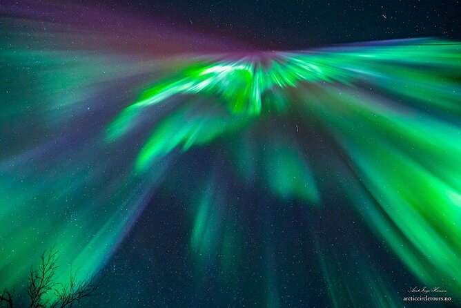 Northern Lights Tour, Photo, Toilet, Meal, Skycam in Mbus - Seeing the aurora, and understanding the limits