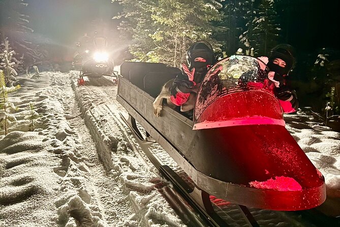 Northern Lights Tour Sleigh Ride - Leaving the resort behind by sleigh