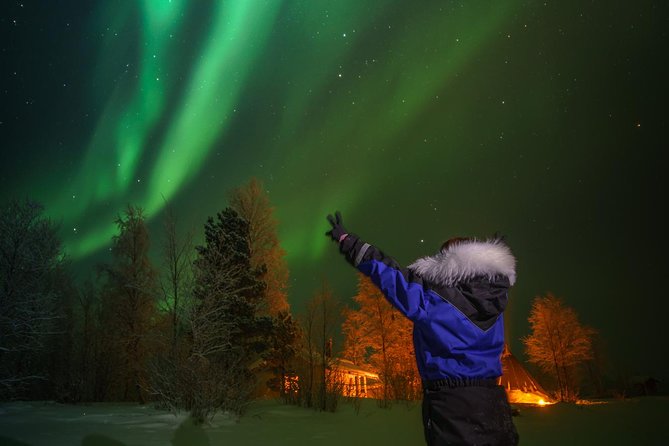 Northern lights tour to Lake Inari from Ivalo, Reindeers & Dinner - Riding from Ivalo into the Arctic night