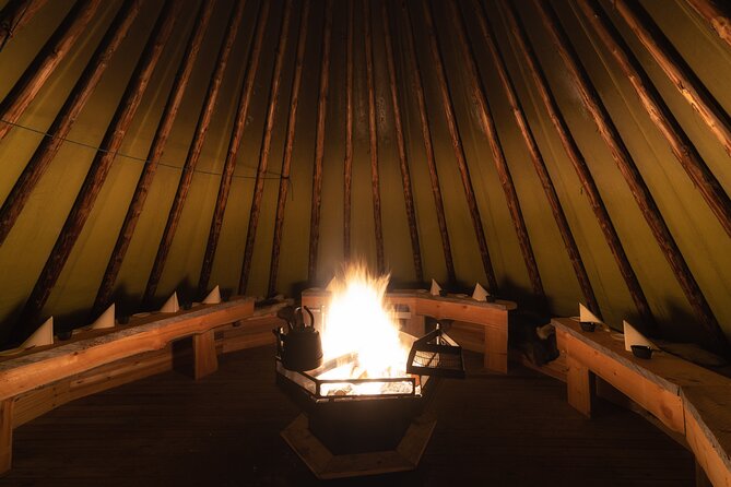 Northern lights tour to Lake Inari from Ivalo, Reindeers & Dinner - Feeding reindeer, not booking a reindeer safari