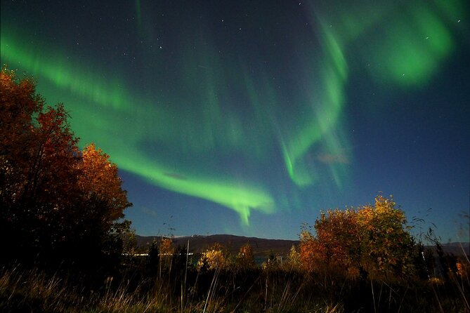 Northern Lights tour with Alta Adventure - Warm clothing, hot drinks, and snacks