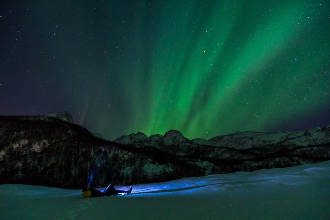 Northern Lights tour with Alta Adventure - The guides are a major part of the value