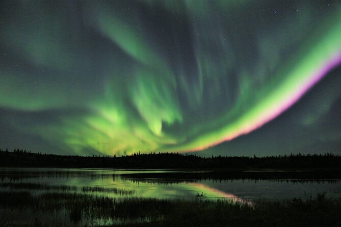 Northern Lights Tour Yellowknife - The biggest risk is not the guide, it is the sky