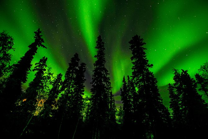 Northern Lights Tours - What you are really booking for $67.59