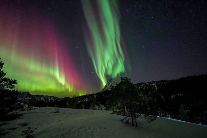 Northern Lights Tours Bodo Norway - Comfort, timing, and the nine-hour possibility