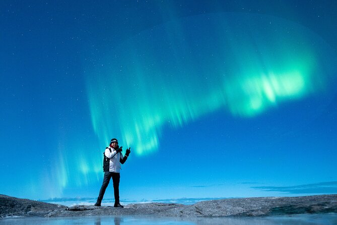 Northern Lights Tours Bodo Norway - Is $223.73 a fair price?