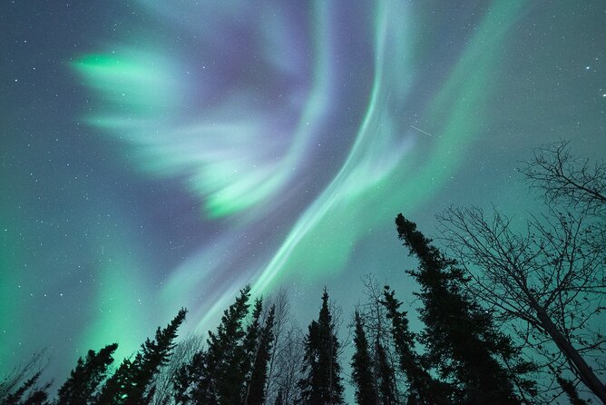 Northern Lights Viewing at Murphy Dome - Key points to know before you book