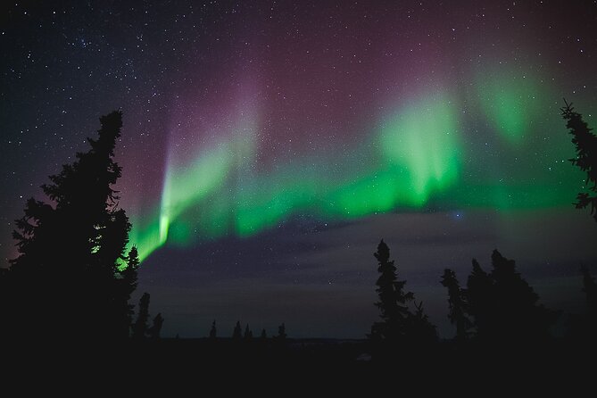 Northern Lights Viewing at Murphy Dome - Photographing the northern lights
