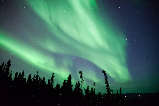 Northern Lights Viewing at Murphy Dome - What the $120 price really buys you