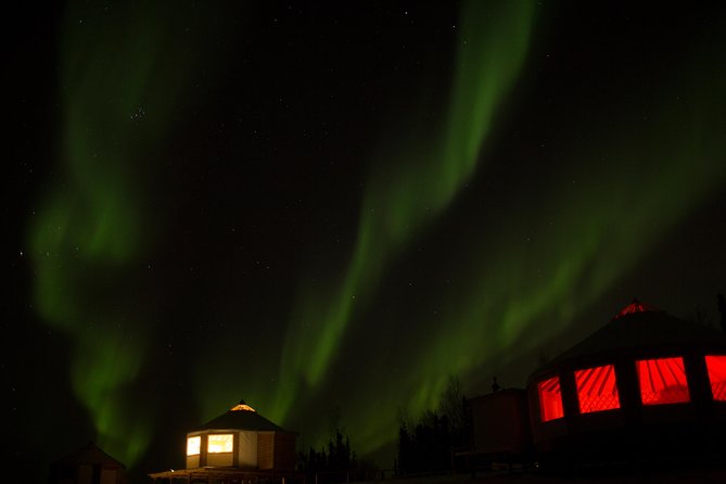 Northern Lights Viewing including Dinner and Dog Sledding - Waiting for the northern lights near Murphy Dome