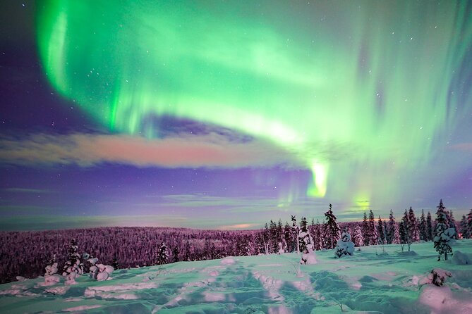 Northern Lights Wilderness Small-Group Tour from Rovaniemi - Leaving Rovaniemi for the Arctic dark