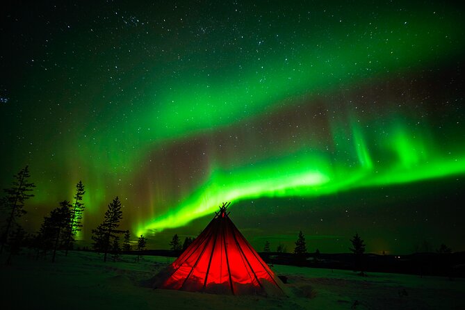 Northern Lights Wilderness Small-Group Tour from Rovaniemi - Fire, food, and the Finnish side of the evening