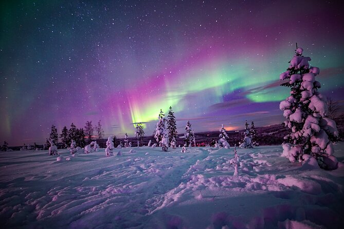Northern Lights Wilderness Small-Group Tour from Rovaniemi - The photography service: useful, but not foolproof