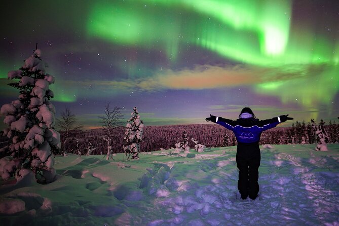 Northern Lights Wilderness Small-Group Tour from Rovaniemi - What each wilderness stop offers