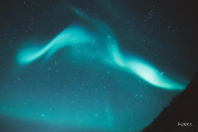 Northern Lights x Mini Bus Chase - Is $187.81 a fair price?