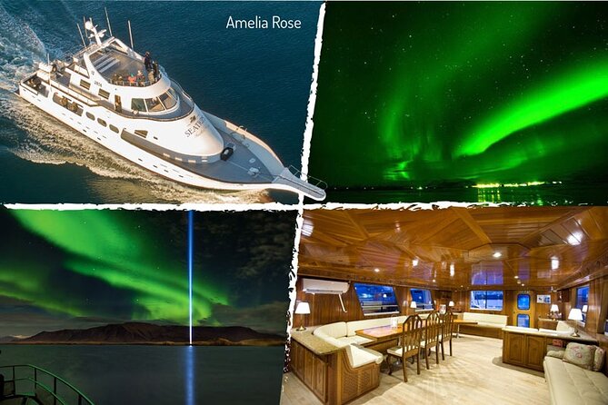 Northern Lights Yacht Cruise in Reykjavik - Weather changes and cancellation rules