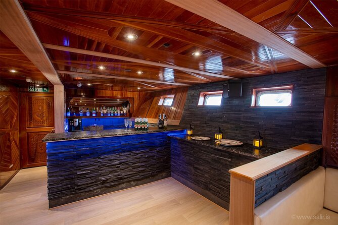 Northern Lights Yacht Cruise in Reykjavik - Practical tips for making the most of it