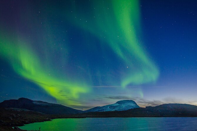 Northern Lights Yacht Cruise in Reykjavik - What the guides add to the night