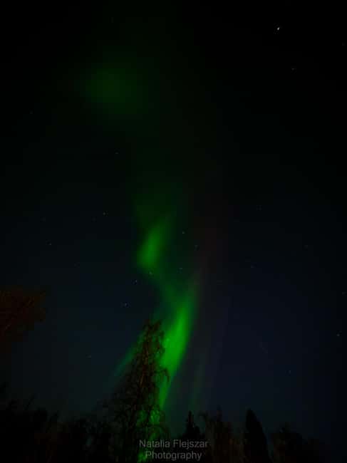 Oulu: Guided Night Walking Tour with Northern Lights Hunting - How demanding is eight kilometers?