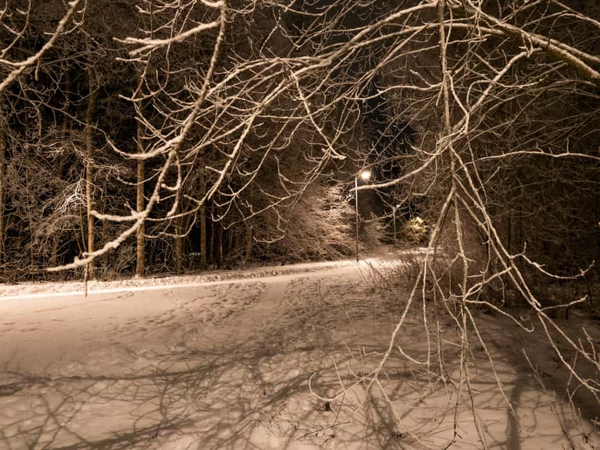 Oulu: Guided Night Walking Tour with Northern Lights Hunting - What the $94 price includes