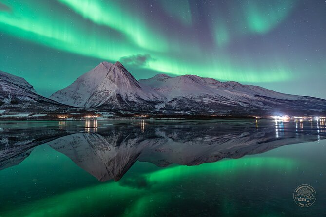 Private Northern Lights Chase with Photography from Tromsø - A private tour with room to change plans