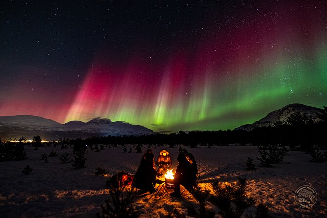 Private Northern Lights Chase with Photography from Tromsø - Professional photos instead of guesswork