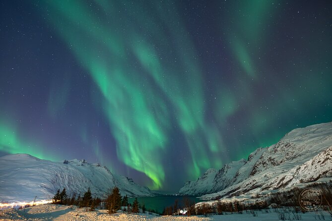 Private Northern Lights Chase with Photography from Tromsø - Science, forecasts, and the right place at the right time