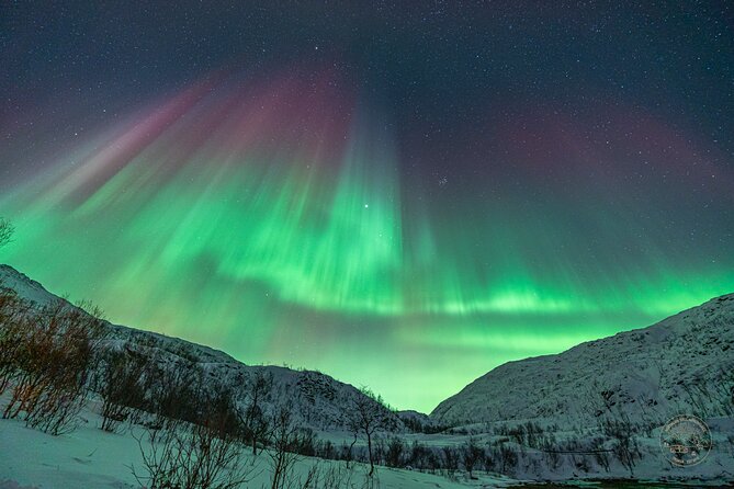 Private Northern Lights Chase with Photography from Tromsø - The practical details to settle before you book