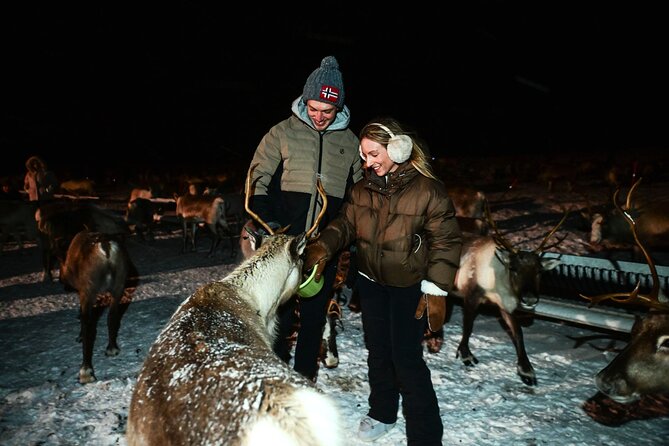 Reindeer Camp Dinner with Chance of Northern Lights in Tromso - Clothing, comfort, and practical limits