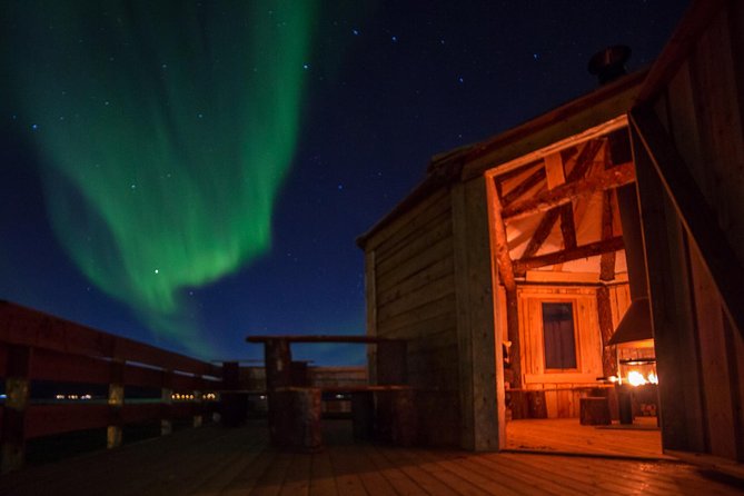 Reindeer Camp Dinner with Chance of Northern Lights in Tromso - Feeding a herd of more than 200 reindeer