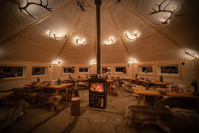 Reindeer feeding & Saami Culture with chance for Northern Lights - Key points to know before booking