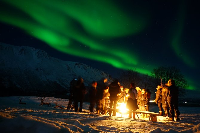 Reindeer feeding & Saami Culture with chance for Northern Lights - Meeting the reindeer herd