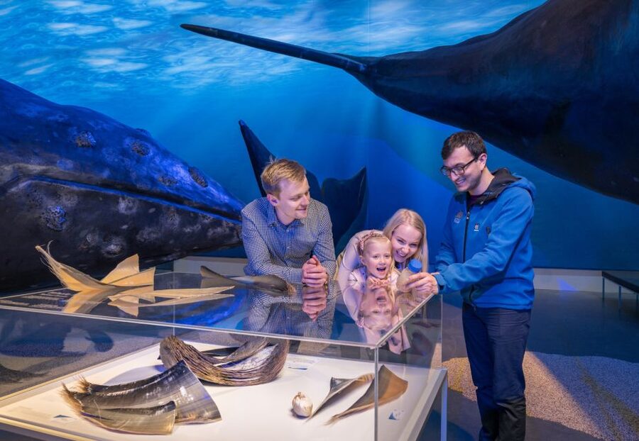 Reykjavik: 2-Hour Northern Lights by Boat with Backup Plan - Who will enjoy this boat tour most