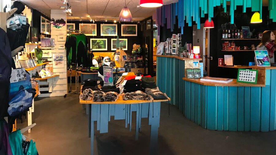 Reykjavik: Aurora Reykjavik The Northern Lights Center Entry - Café, guidebooks, and the small shop