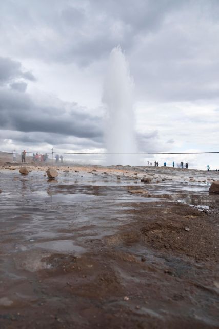 Reykjavík: Golden Circle, Blue Lagoon & Northern Lights Tour - Searching the southern night for the aurora