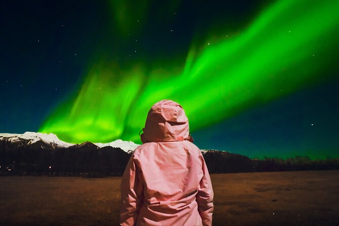 Reykjavik: Northern Lights Comfort Coach with Surprise - Why the forecast-led chase is worth your evening